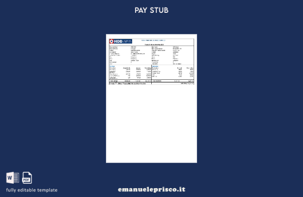 modello di busta paga per servizi finanziari HDB in stile verificato